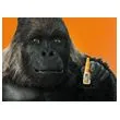 GORILLA SUPER GLUE 10G BRUSH